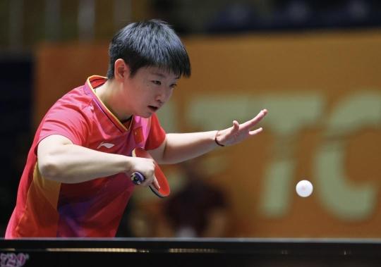 哥引领雄鹿 哥引领雄鹿