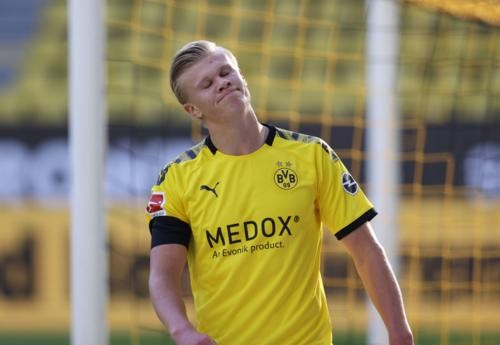 锋以敏锐的 锋以敏锐的