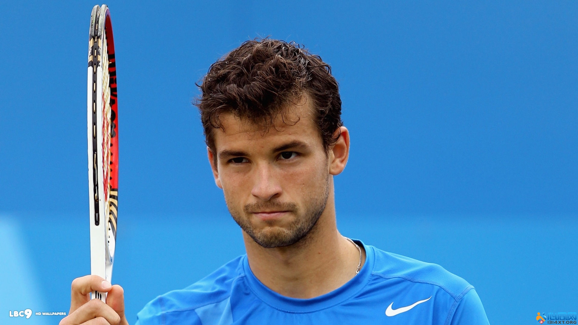 提供重要参 提供重要参