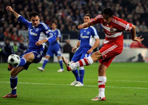 摔跤迷的关 摔跤迷的关